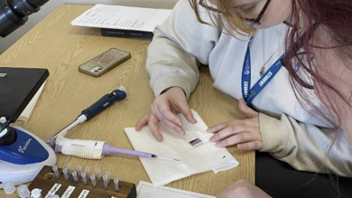 Image for news article: Animal Studies students visit specialist equine centre