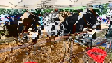 Image for news article: Tickets now on sale for Open Day & Country Fair