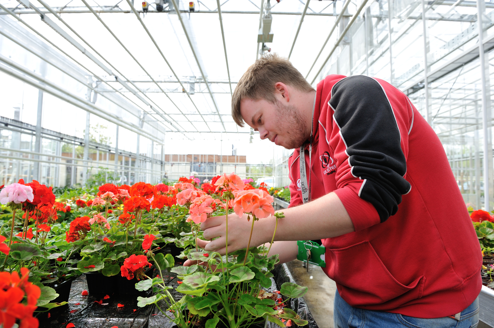Myerscough College Horticulture