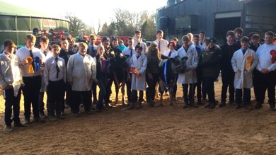 Image for news article: Agriculture students’ Christmas Calf Show is moo-vellous