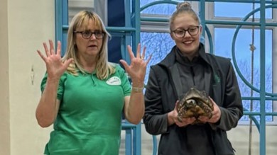 Image for news article: SUCCESS STORY: There’s nothing ‘mini’ about Emily’s animal ambitions