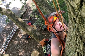 Tree climbing competition - results