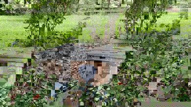 Image for news article: Hedgehog house will remember much missed animal studies student