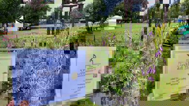 Image for news article: Gold for Myerscough at Southport Flower Show