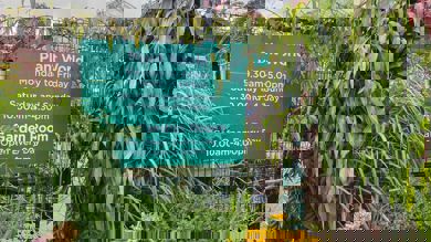 Image for news article: Announcement: Myerscough Plant World & Gardens