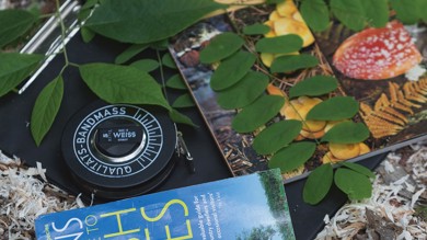 Image for news article: Arboriculture Degree and Apprenticeship Management Information Presentation (Online) (May)