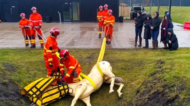 Image for news article: Croxteth students witness equine rescue demonstration at Merseyside Fire and Rescue Service