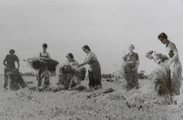 Womens Land Army At Hutton During Ww2 (1)
