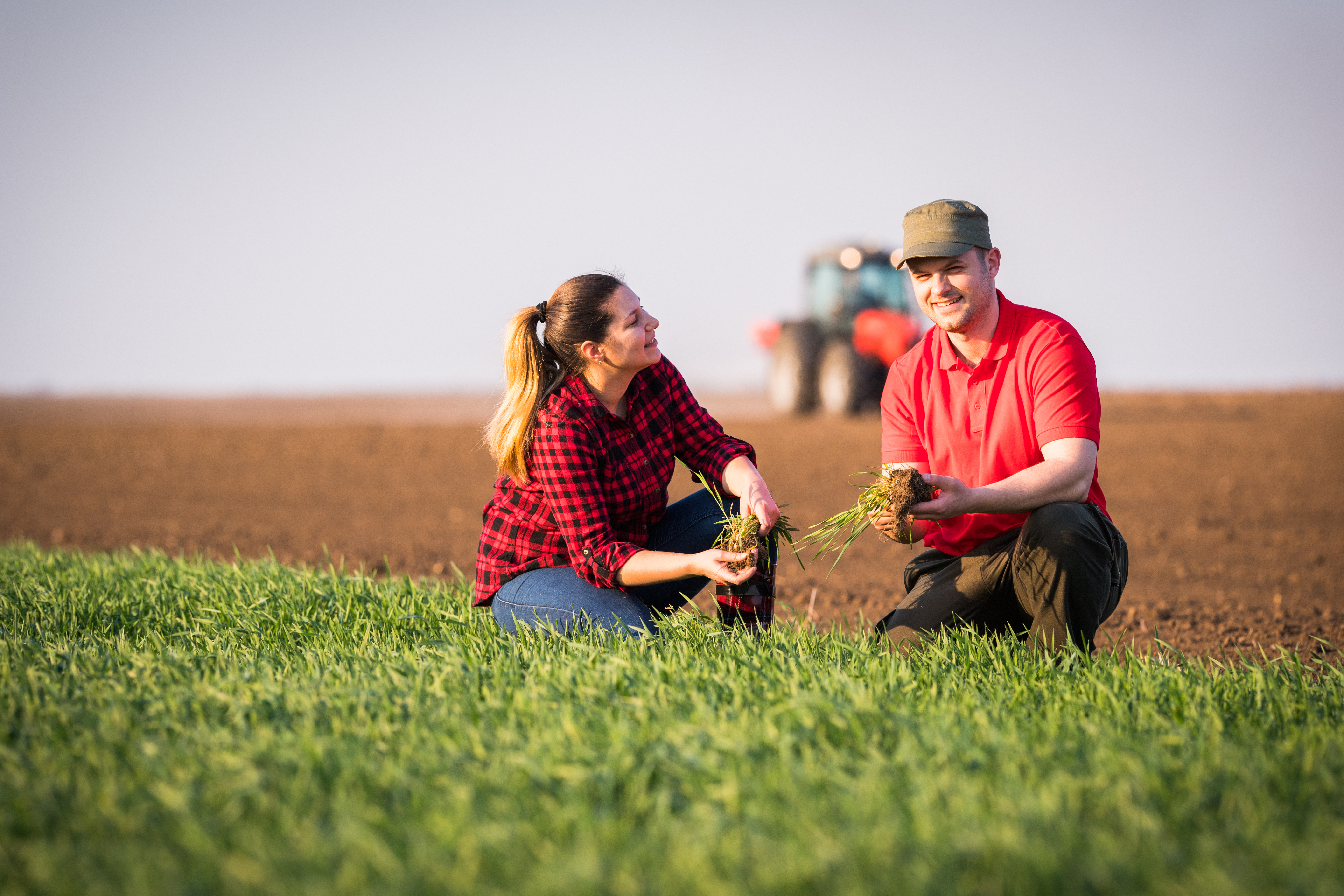 Two people inspecting crops in a ploughed field