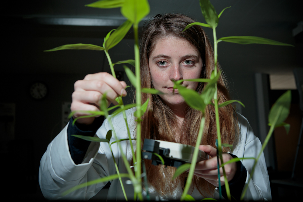 Myerscough College student with plants in the college laboratory.