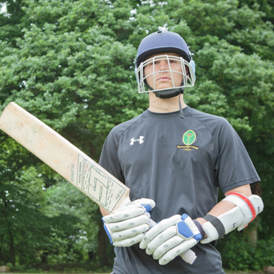 cricket-grid-panel.jpg