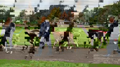 Image for news article: Course Advice Morning - Warrington Centre FEB