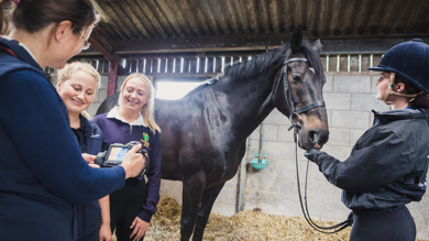 Image for news article: HE Equine gallop to another great year