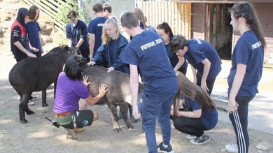Image for news article: Gold for Myerscough’s Future Zoo collaboration
