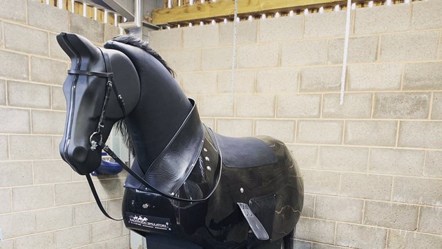 Croxteth Mechanical Horse