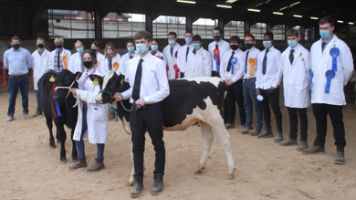 Image for news article: Agriculture students over the moo-n with Christmas Calf Show