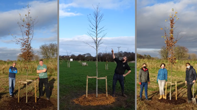 Image for news article: Arbor Day is almost upon us!