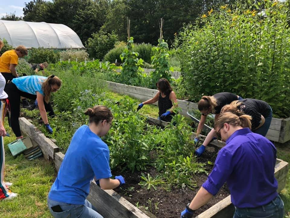 Adult Learners in Croxteth digging bedding plants