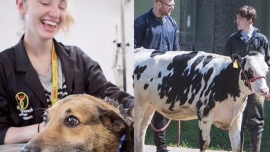 Image for news article: Myerscough confirm details of Ullswater agriculture and animal studies partnership