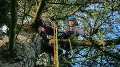 Image for news article: Myerscough arboriculture apprentice shortlisted for national award