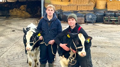 Image for news article: Agriculture students present a moo-vellous festive Calf Show