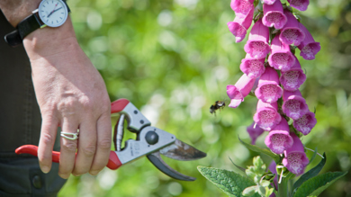 Image for news article: Course Advice Morning - Warrington Centre APRIL