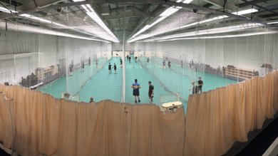 Cricket